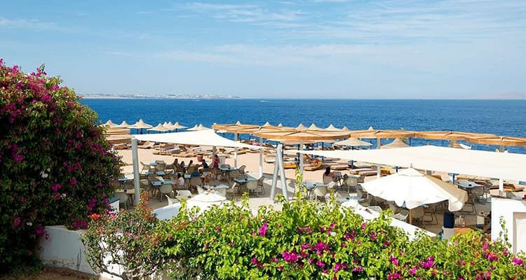Image Amphoras Blu Resort only adults